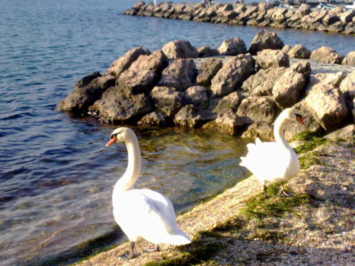 Residenza Al Sogno - On Lake Garda Кавайон Веронезе Екстериор снимка